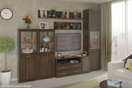 Гостиная-Стенка Карина-22 (В-2224 х Ш-3240 х Г-448 мм)